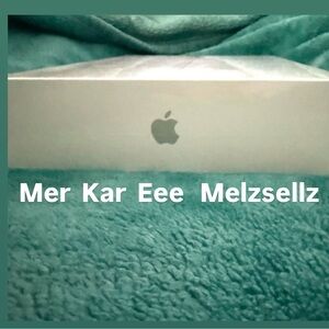 Apple iPad  in Sleek Silver NEW SEALED